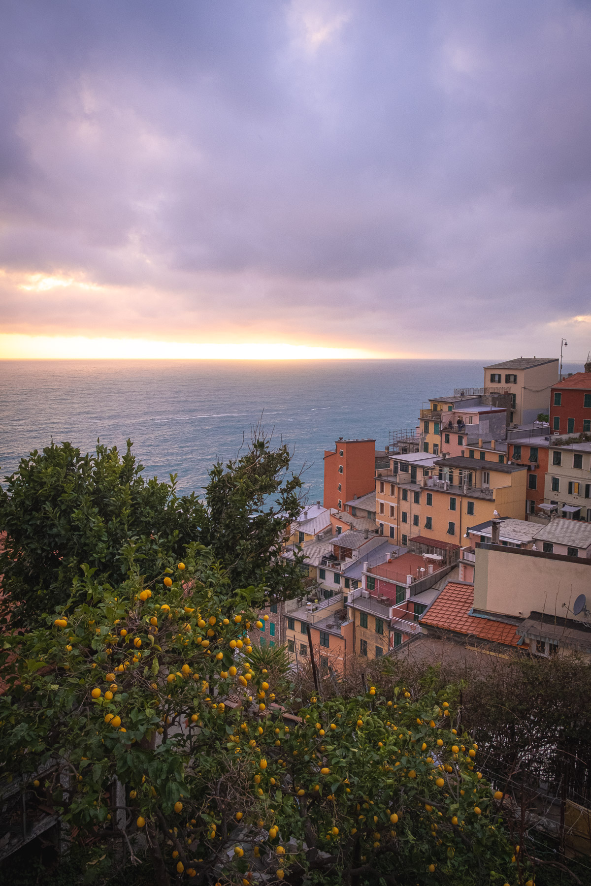 Cinque Terre photo titled Cinque Terre 65